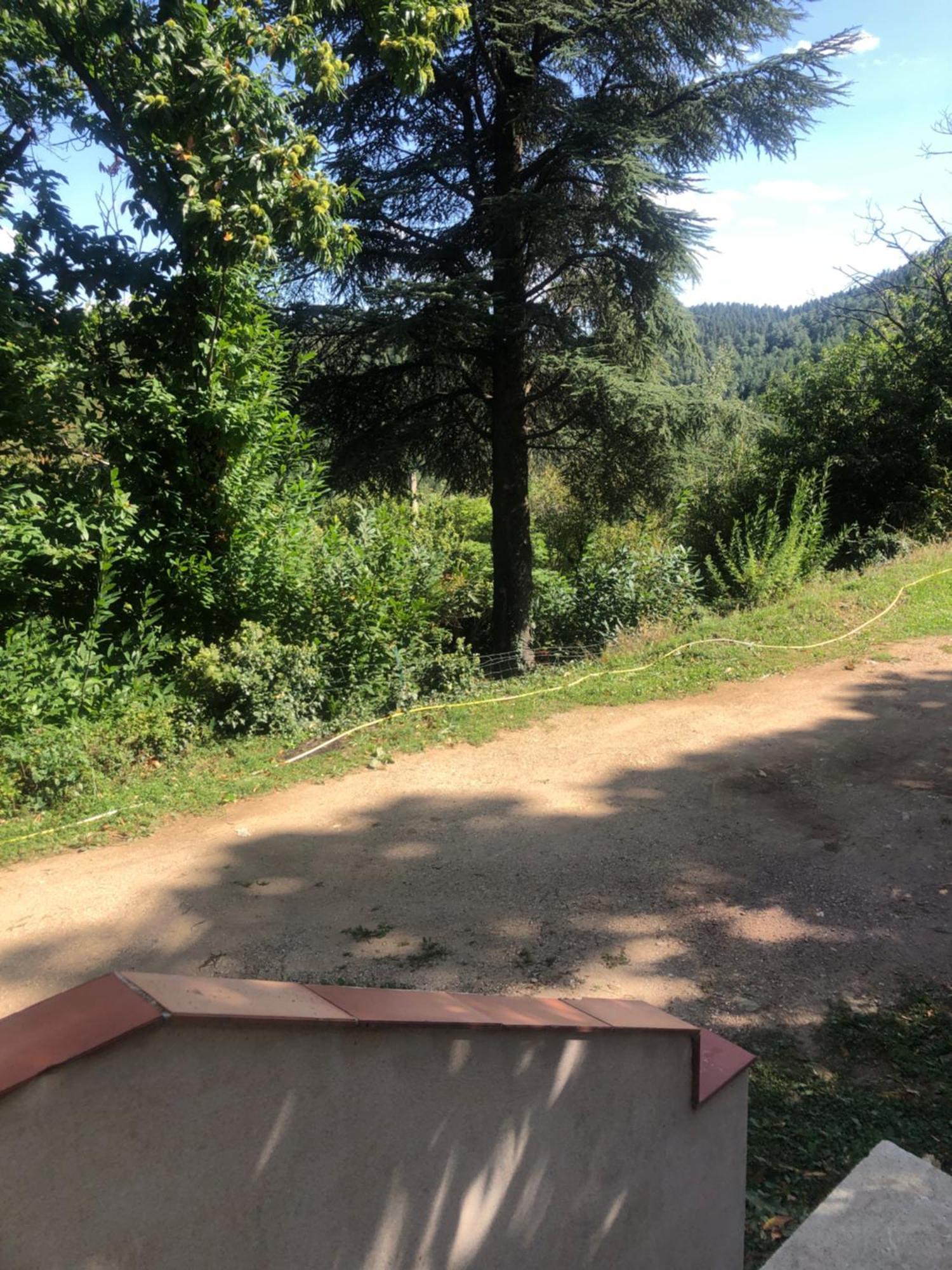 Chambre Dans Les Cevennes Concoules Eksteriør bilde
